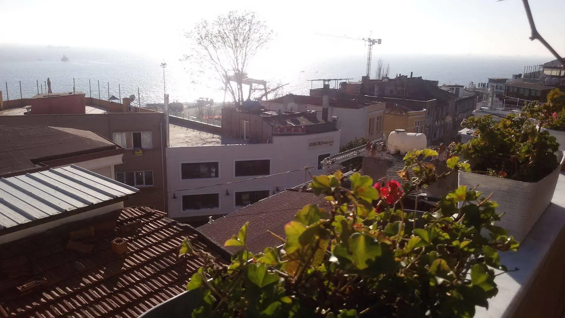 Hotel Buhara Family Inn Istanbul