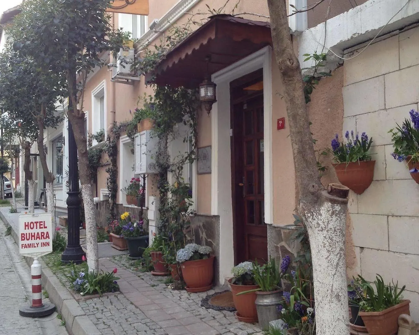 Hotel Buhara Family Inn Istambul Turquie