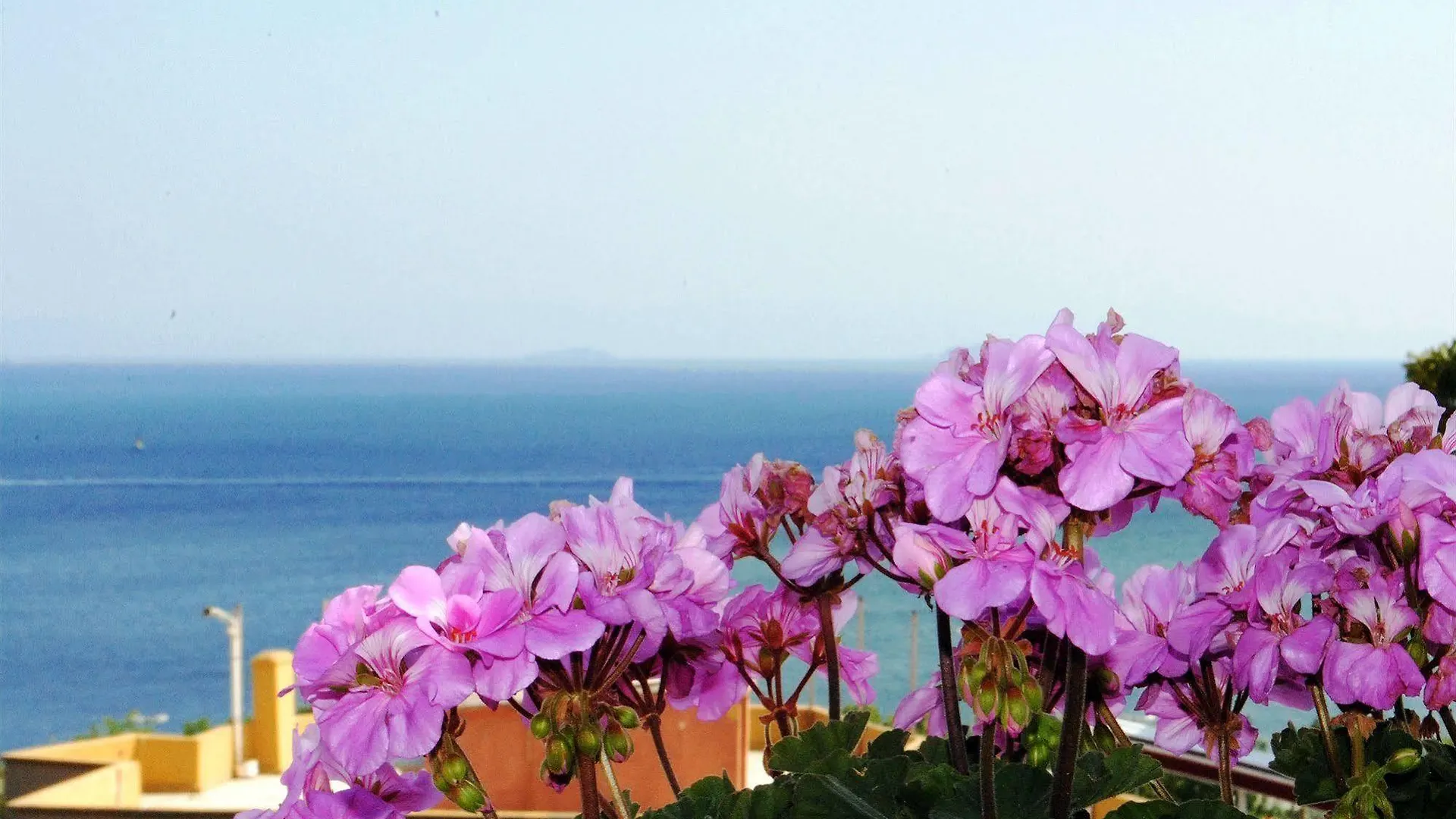 Hotel Buhara Family Inn Istambul Turquie