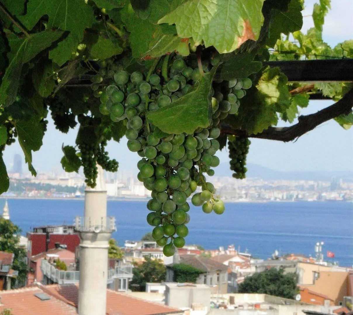 Hotel Buhara Family Inn Istambul 3*,  Turquie